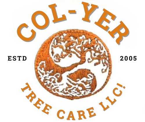 Col-Yer Tree Care LLC