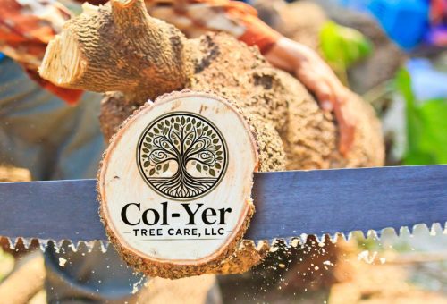 Colyer Tree care